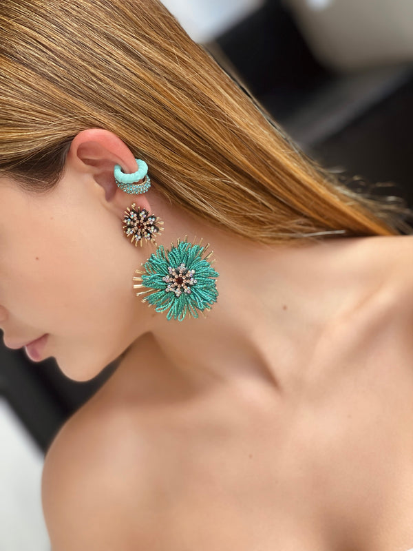 Coral Aretes